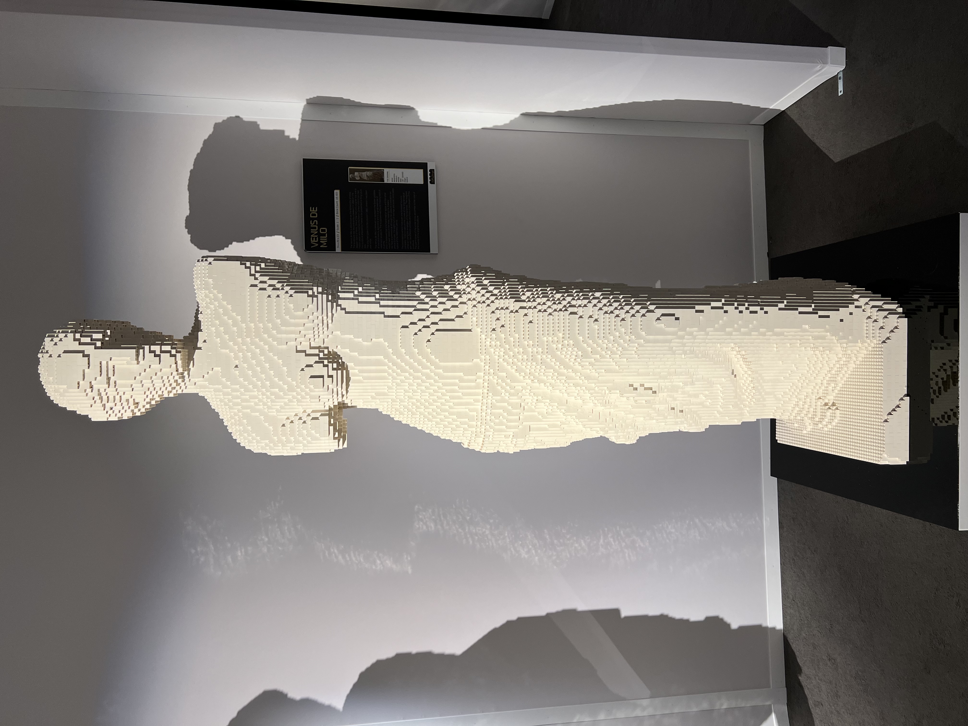 ./2023/07 - Art of the Brick/IMG_9563.JPG